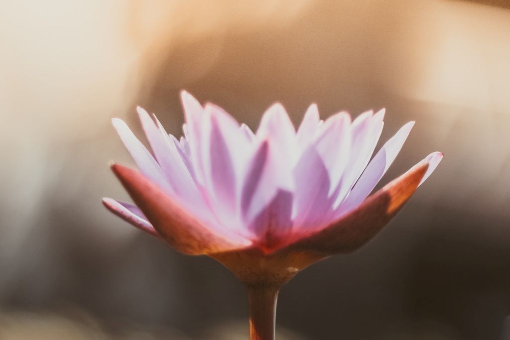 raja yoga